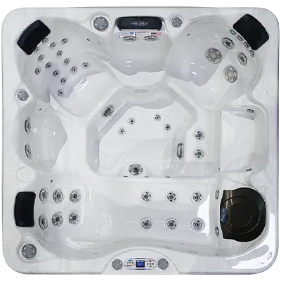 Avalon EC-849L hot tubs for sale in Sunrise