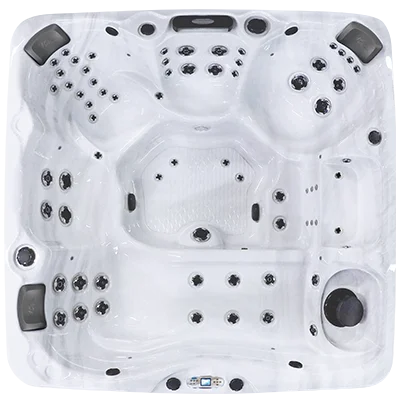 Avalon EC-867L hot tubs for sale in Sunrise